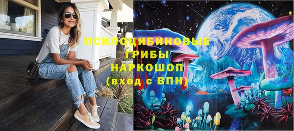 эйфоретик Вяземский