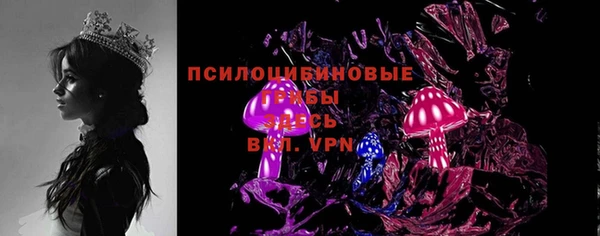 таблы Няндома