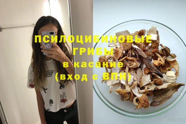 таблы Няндома